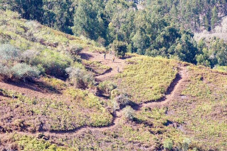 La convocatoria estará gestionada por AIDER Gran Canaria y permanecerá abierta hasta el viernes 12 de agosto / TA